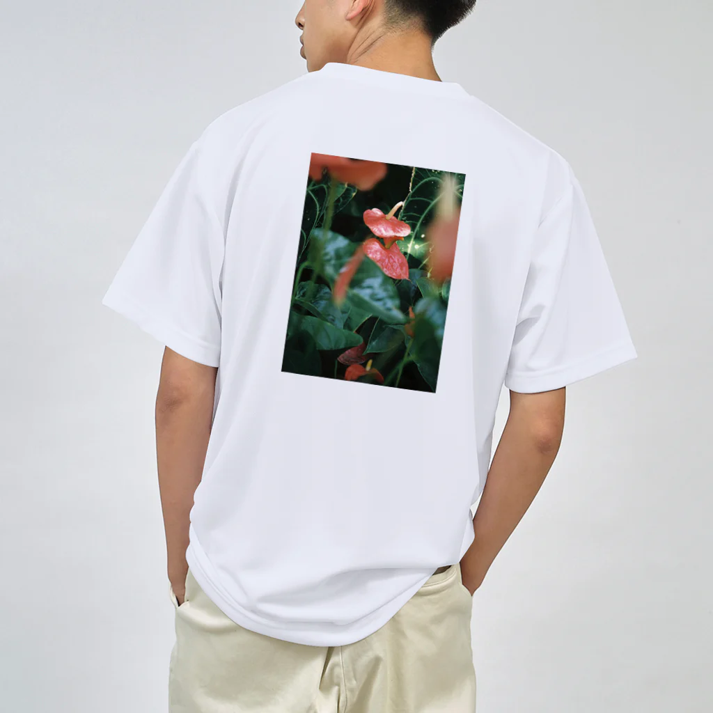 ayak_a_kayaの凛々しい Dry T-Shirt