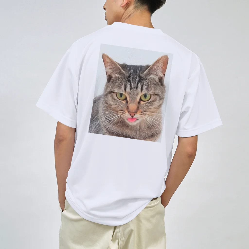 猫の隠れ家のぺ？？ Dry T-Shirt