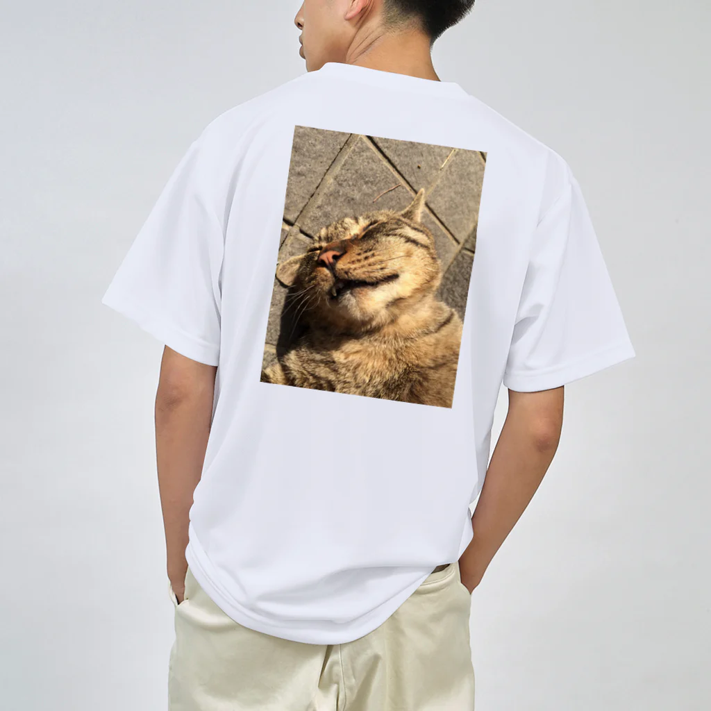 あまりの猫（無防備） Dry T-Shirt