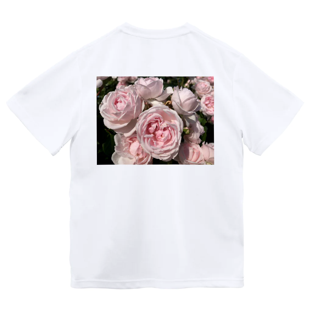 光のパステルアート　Hisaの薄いピンクの薔薇 Dry T-Shirt