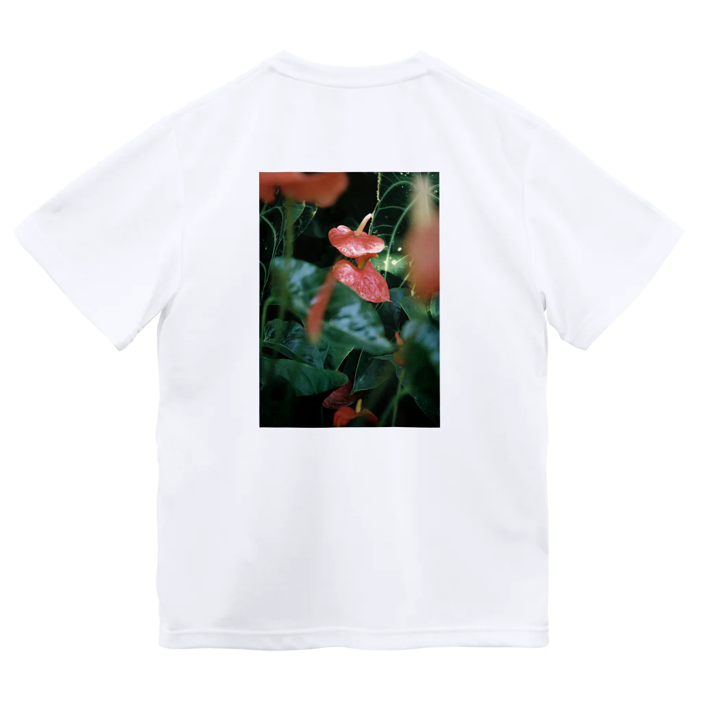 ayak_a_kayaの凛々しい Dry T-Shirt