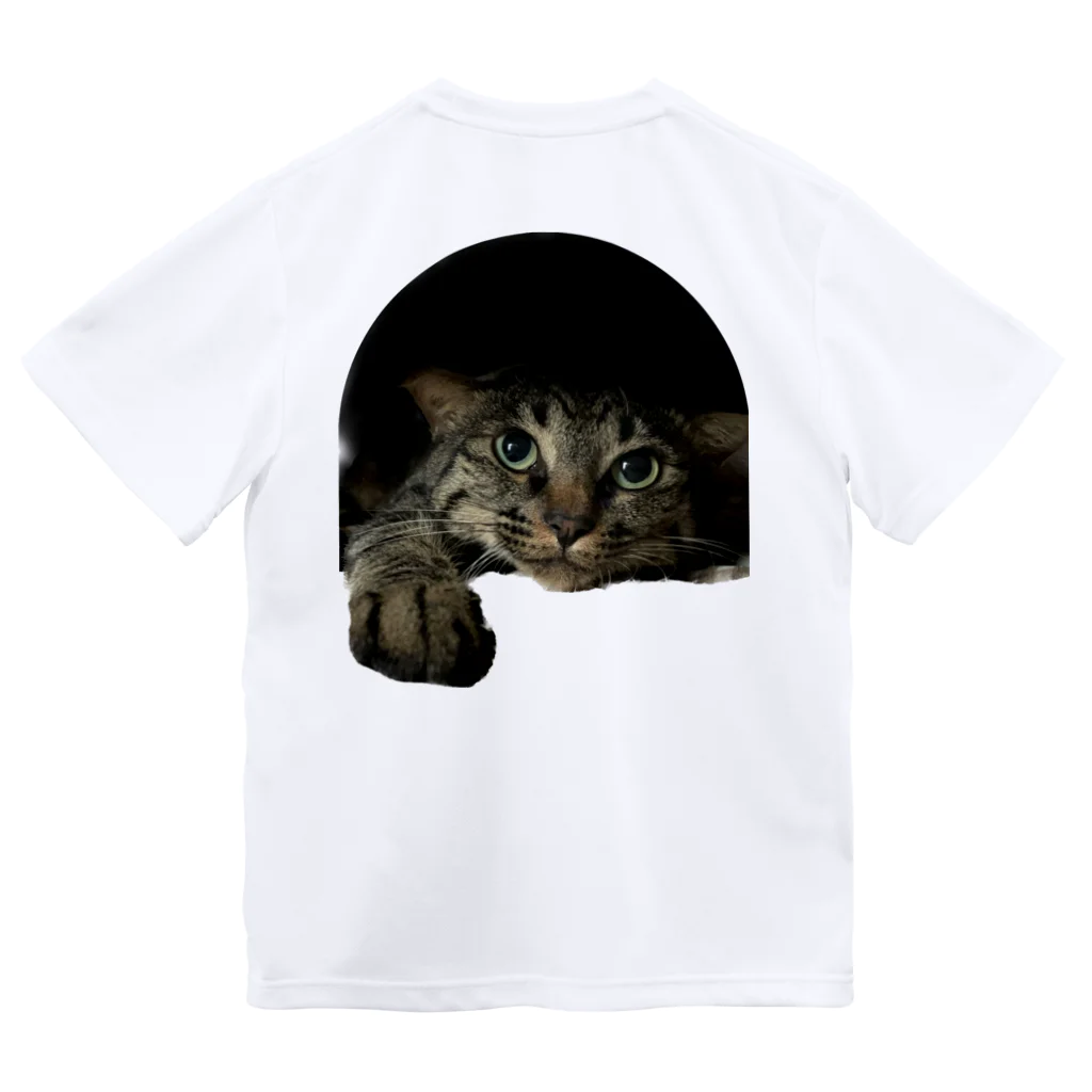 薩摩猫トラの店の狙った獲物は逃がさない猫 ドライTシャツ