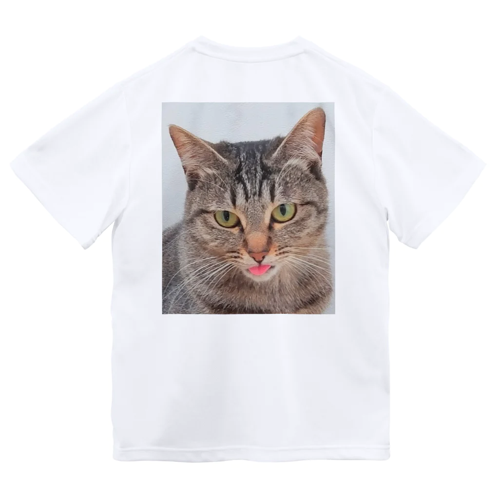 猫の隠れ家のぺ？？ Dry T-Shirt