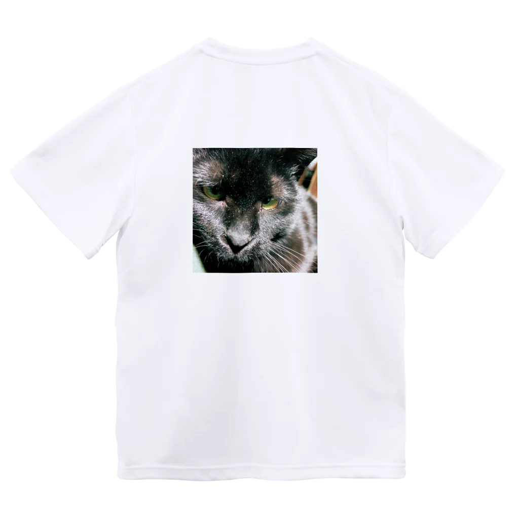 a sweet farmのきょうの黒猫 ドライTシャツ