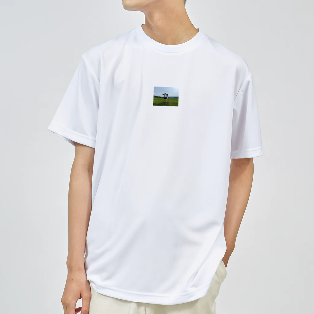 くーまのモーモーモー Dry T-Shirt