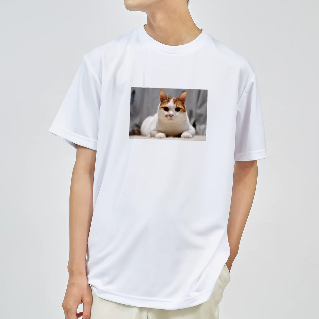 こななのねこたくん ドライTシャツ