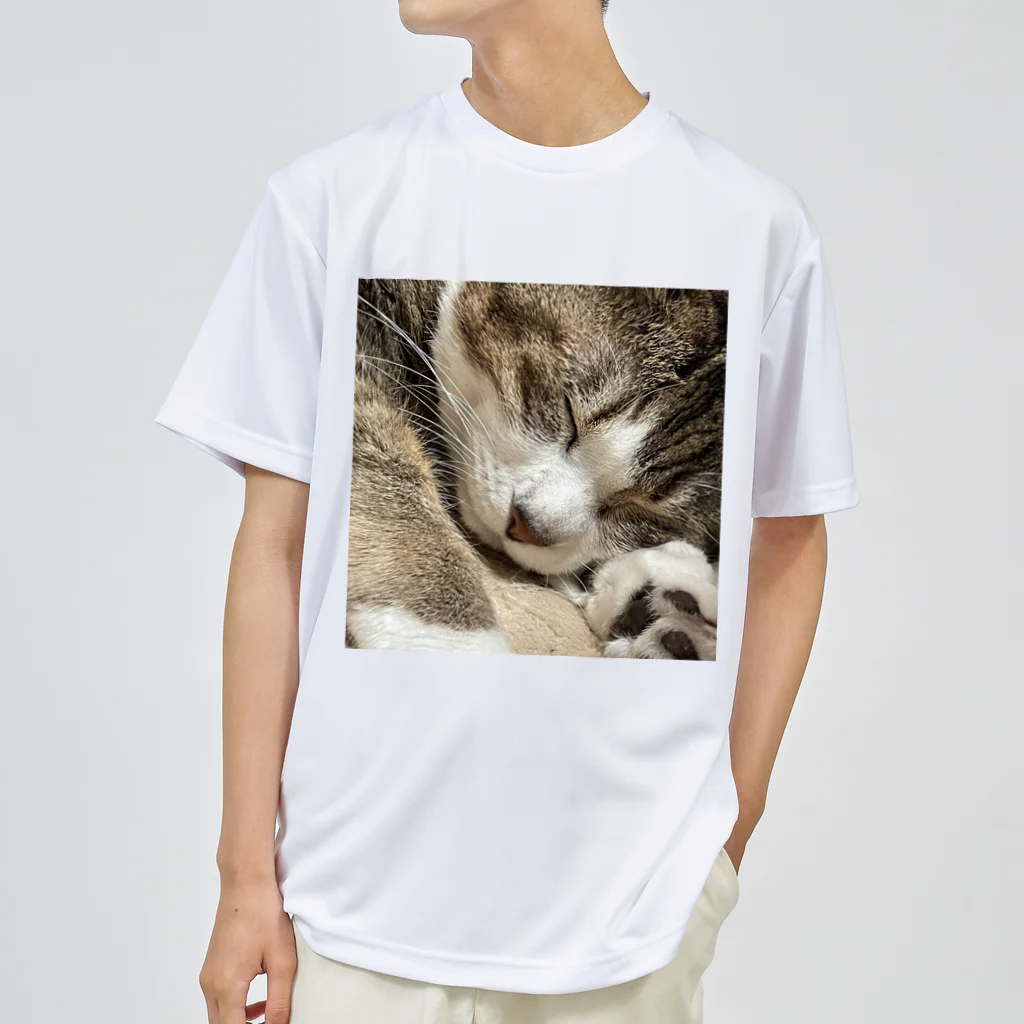 あゆのしおやきの猫(キジシロ) ドライTシャツ