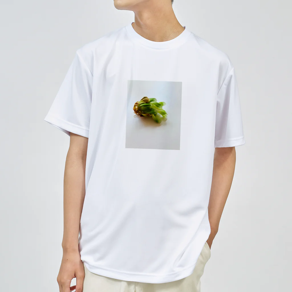 モカちゃんのサバイバー多肉 Dry T-Shirt