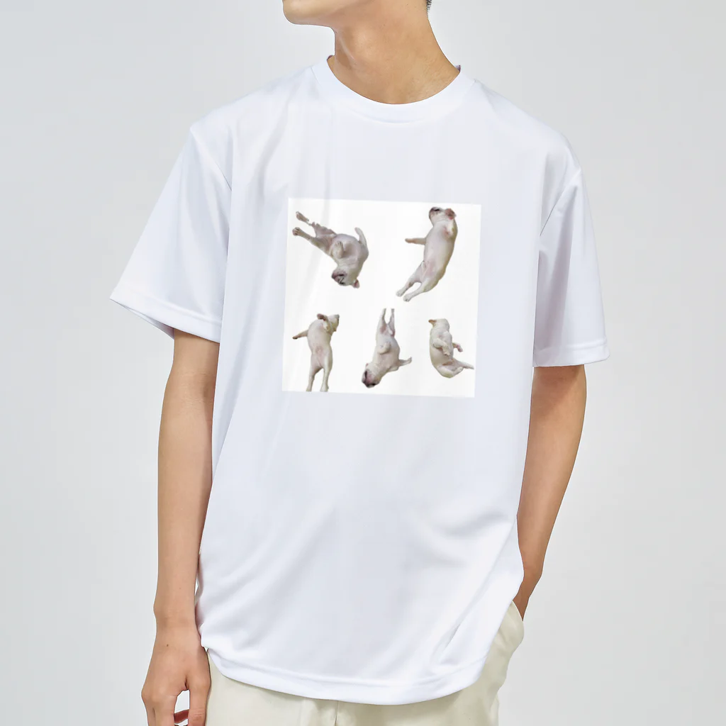 ロキの店の転がる犬 Dry T-Shirt