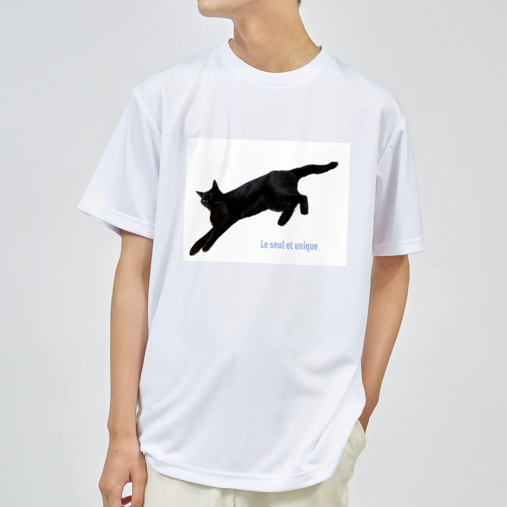 a sweet farmのきょうの黒猫 ドライTシャツ