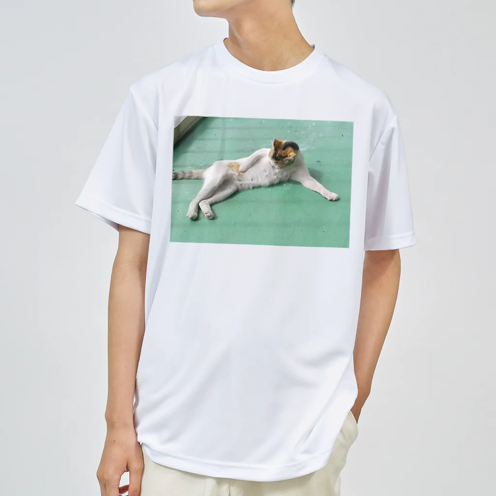 DancingStoneShopの野良猫たまりん ドライTシャツ