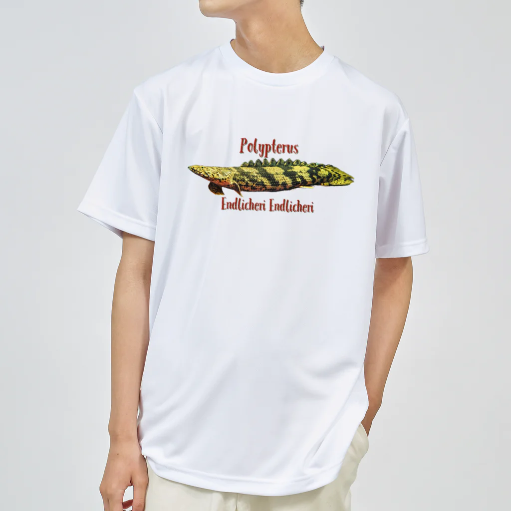 KazFishのポリプテルスエンドリケリー ドライTシャツ