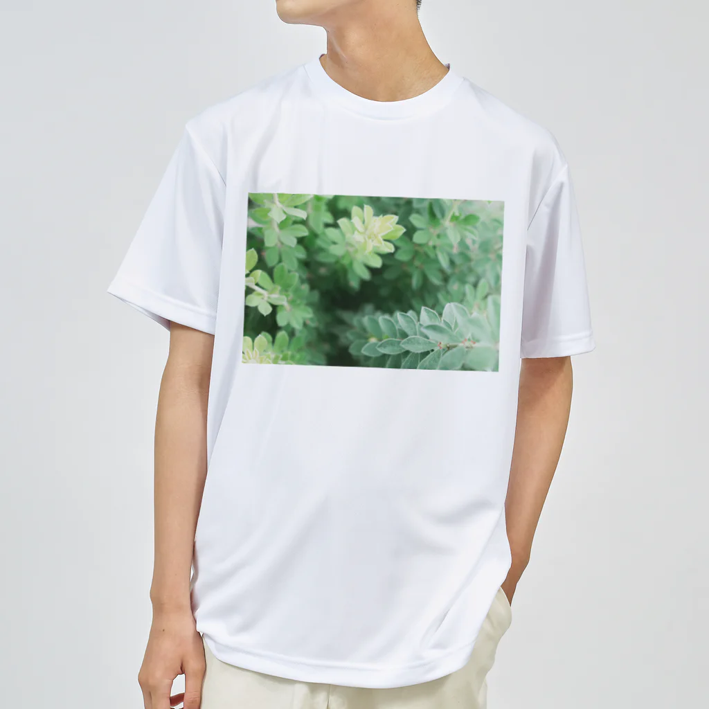 TATTUの花壇の植物 ドライTシャツ