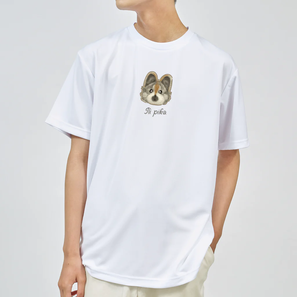 huroshikiのイリナキウサギ(イリピカ) ドライTシャツ
