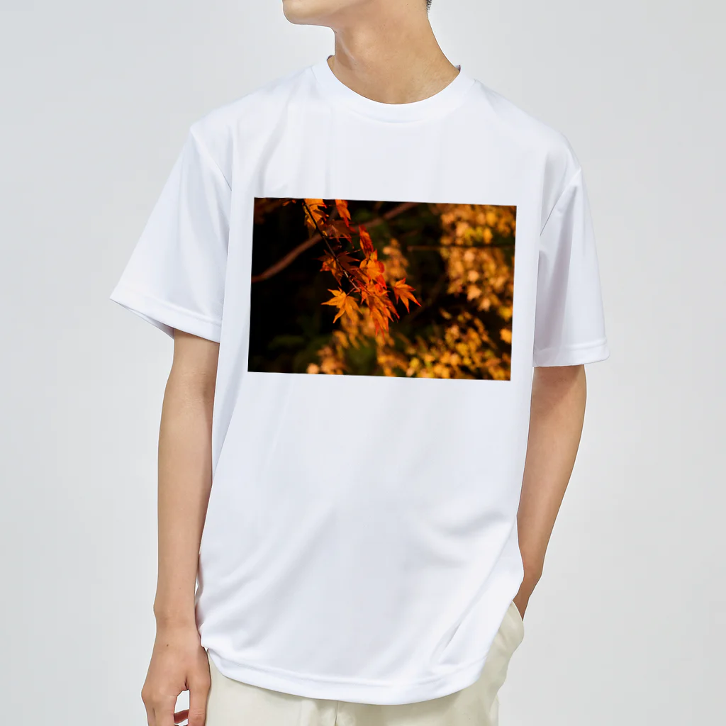 nokkccaのライトアップ紅葉 - Japanese maple(night shot) - ドライTシャツ