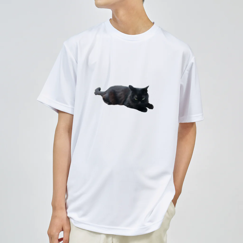 tyabu_lateの撫で待ち！くろちゃん Dry T-Shirt