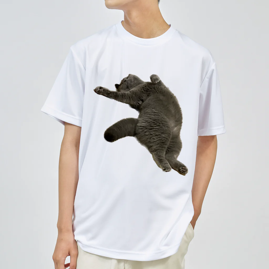 むっちり猫のむっちり丸のお腹ぽっこりむっちり丸 ドライTシャツ