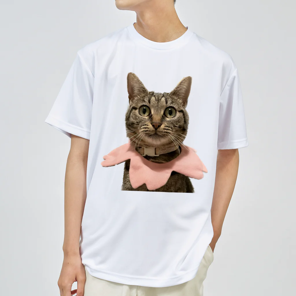 ふぇっとのうちの猫 ドライTシャツ