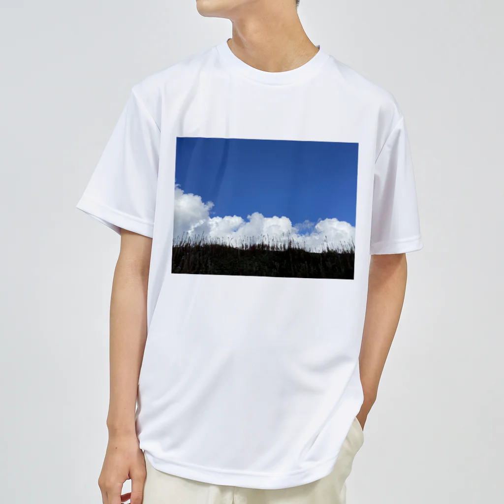 fra Denmarkの夏の空　北欧 ドライTシャツ