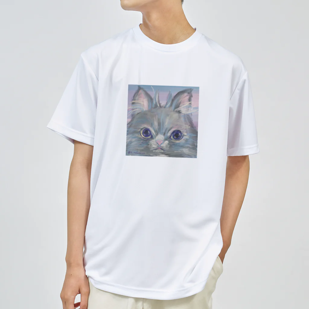 猫のきぬくんのお店のフクロウじゃないもん Dry T-Shirt