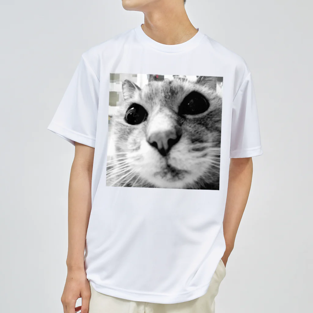 CBC19の二代目猫 ドライTシャツ