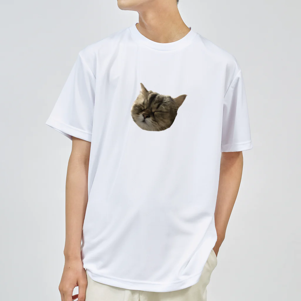 onarisanちのにゃんこたちのつんこのむーーーん ドライTシャツ