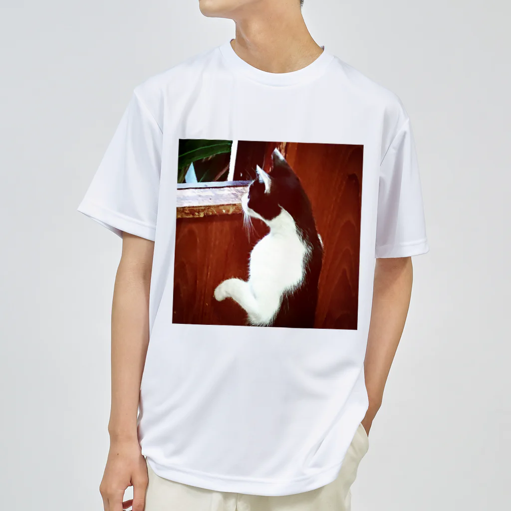 天光のねこ部屋の窓際のプリンちゃん Dry T-Shirt