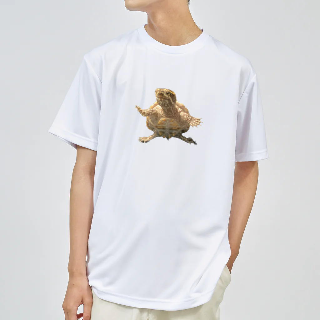 ミシシッピニオイガメの、こてちゃんのコテちゃんだよー！ Dry T-Shirt