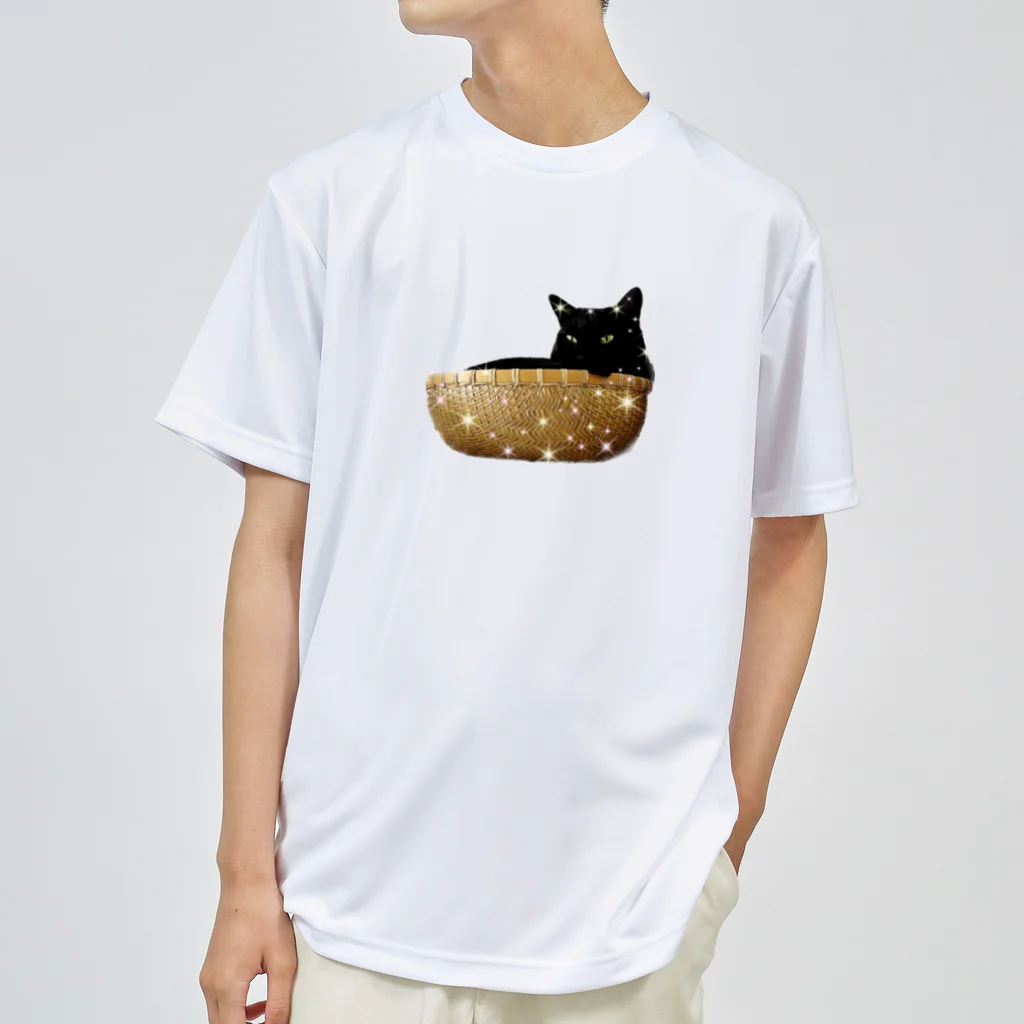 MKPoppp! shopのカゴの中の猫🐈‍⬛ Dry T-Shirt