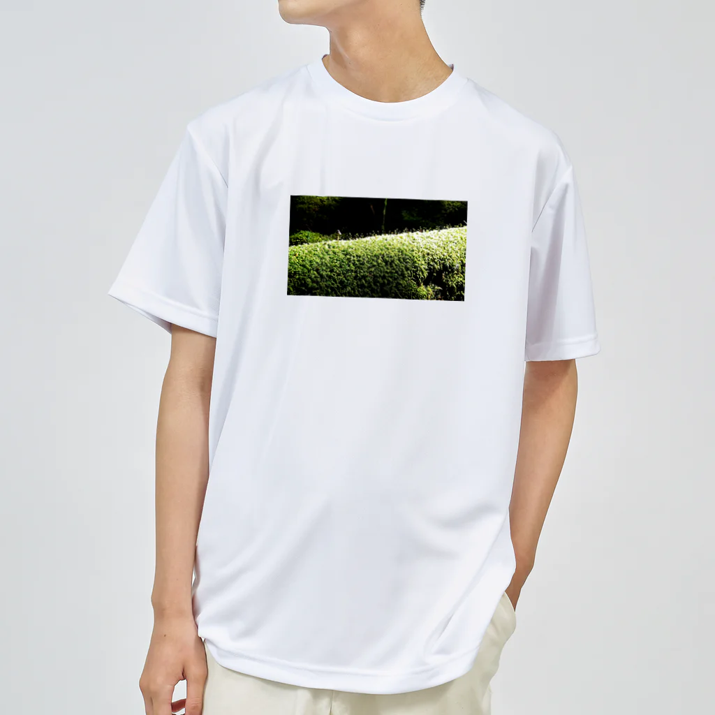 CHERRYの苔苔くん ドライTシャツ