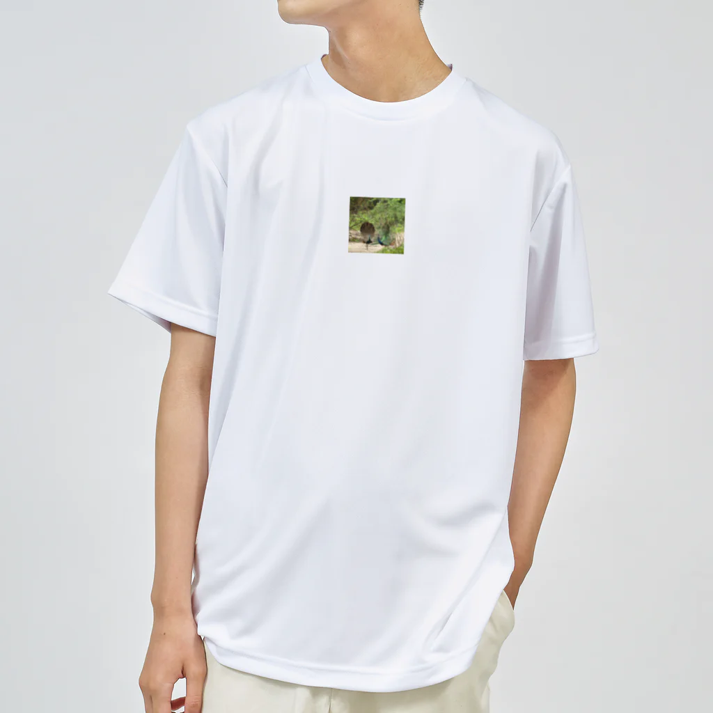 Stylishの自然な色彩 Dry T-Shirt