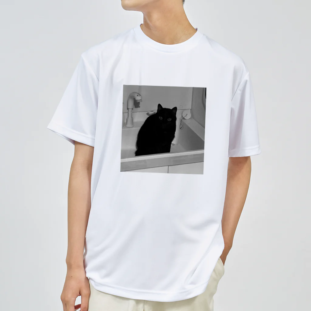 深夜の猫屋さんの深夜猫 ドライTシャツ