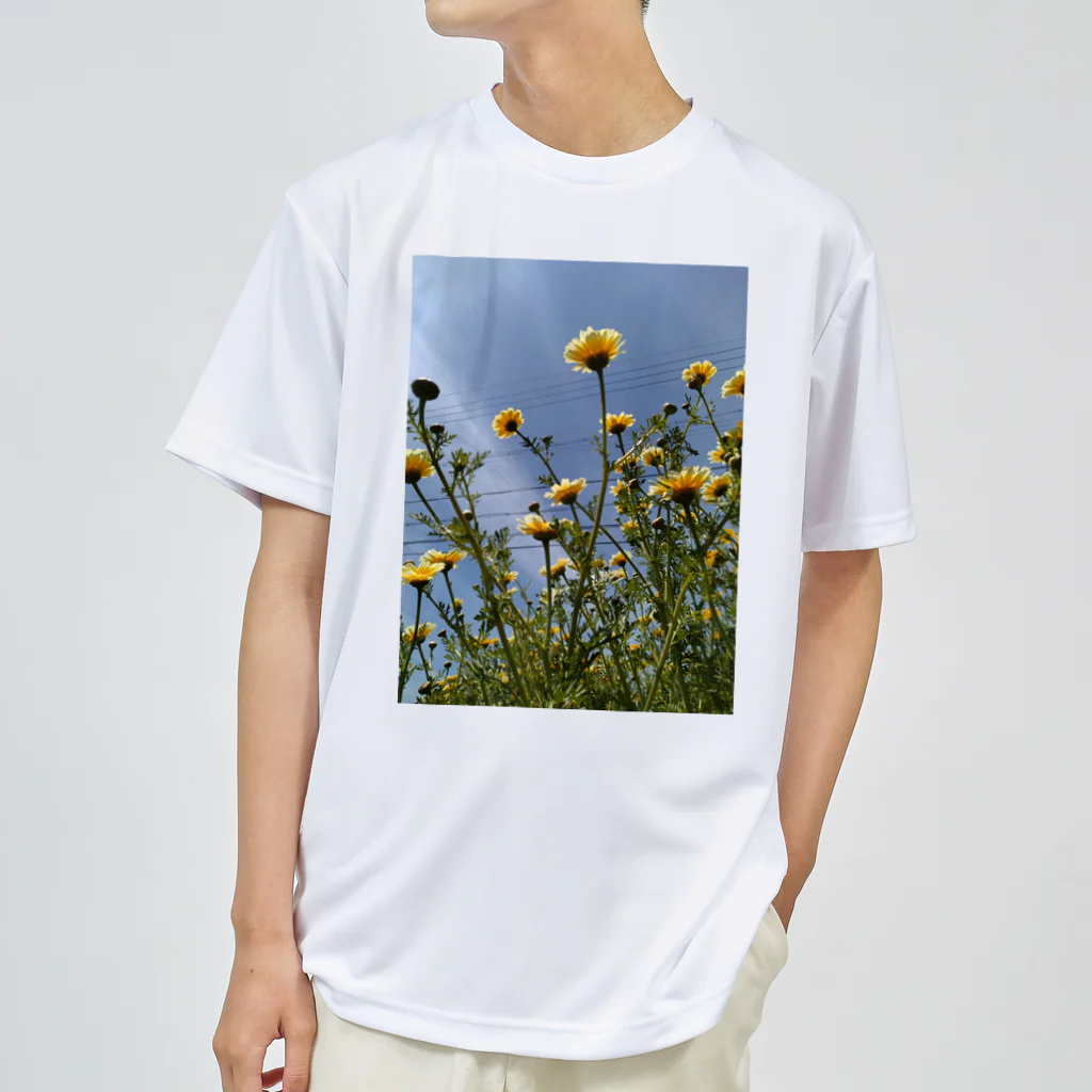 MMの黄色い春菊の花 ドライTシャツ