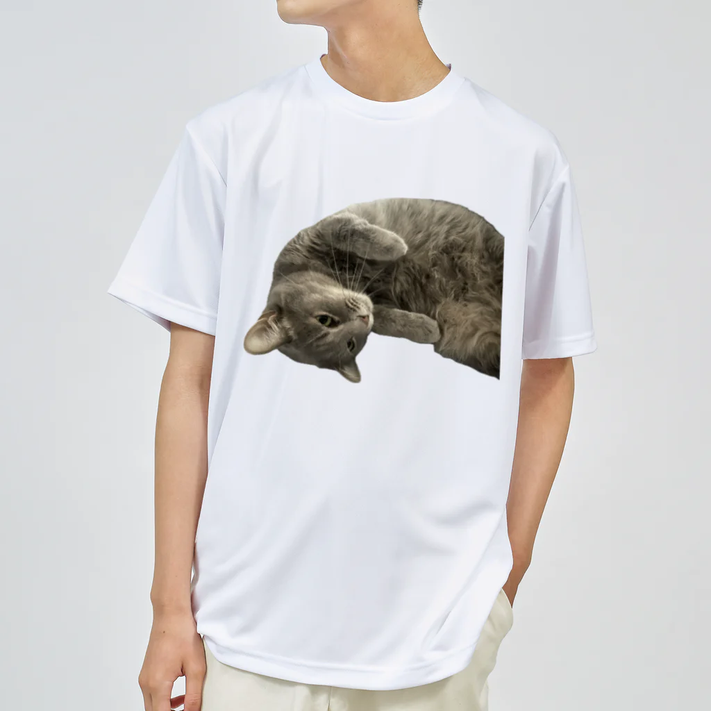 グレージュ猫ロッタン🐈‍⬛のロッタンのリラックスタイム Dry T-Shirt