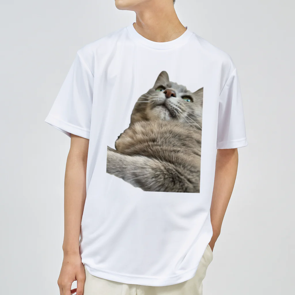 グレージュ猫ロッタン🐈‍⬛のよそ見ロッタン ドライTシャツ