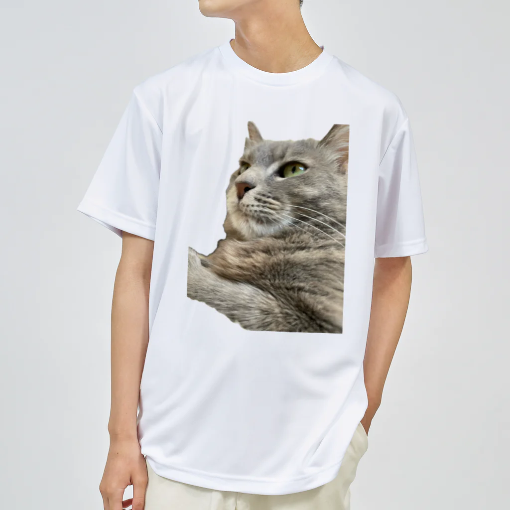 グレージュ猫ロッタン🐈‍⬛の緊張ロッタン ドライTシャツ