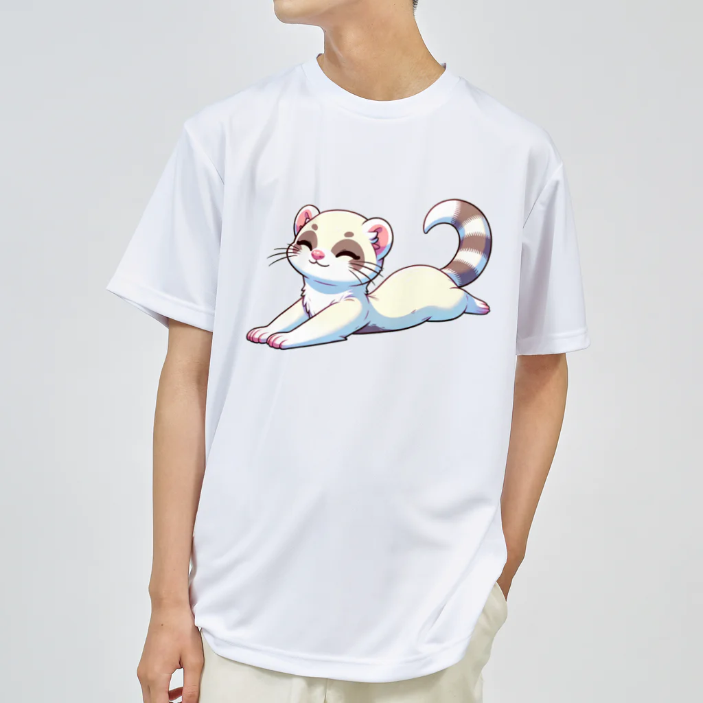 べっち©︎ののんびりフェレットちゃん🐾 ドライTシャツ