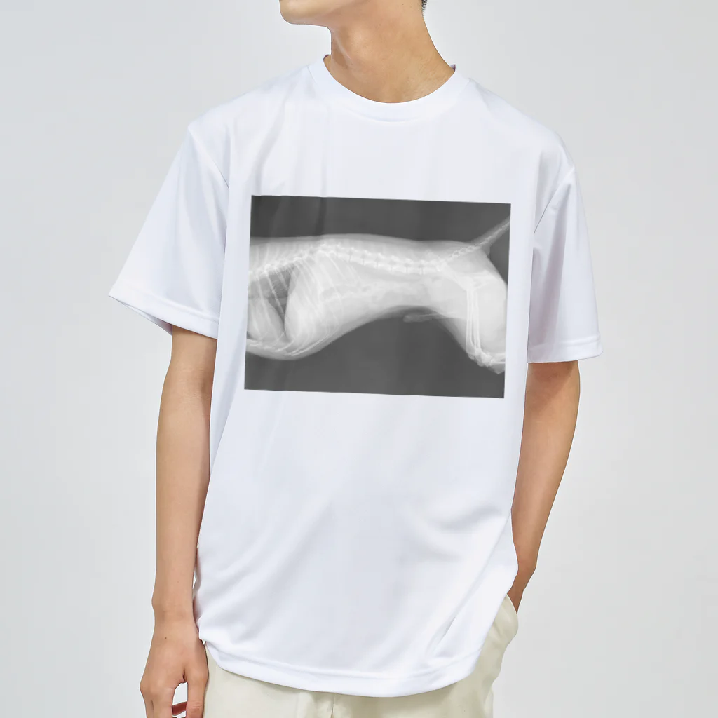 nireのいぬのレントゲン Dry T-Shirt