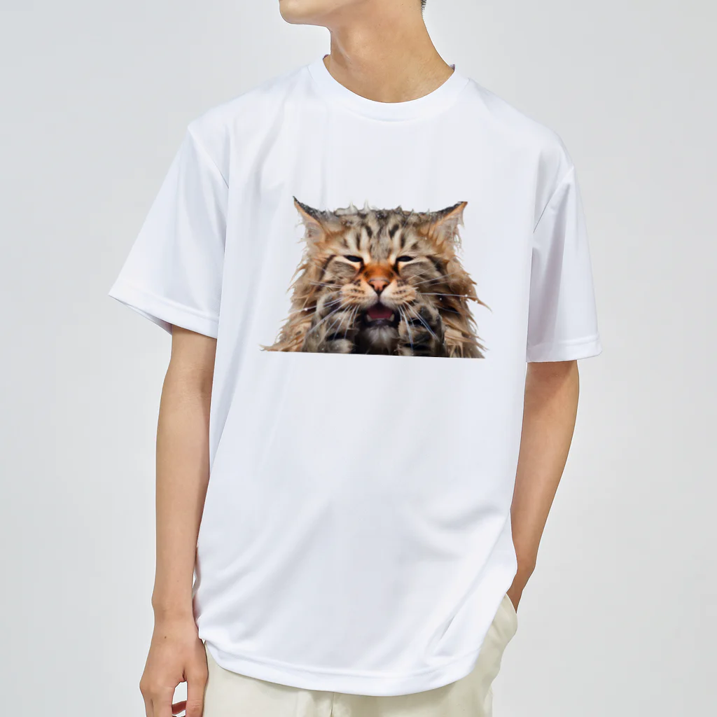 日向ぼっこのずぶ濡れ猫 Dry T-Shirt