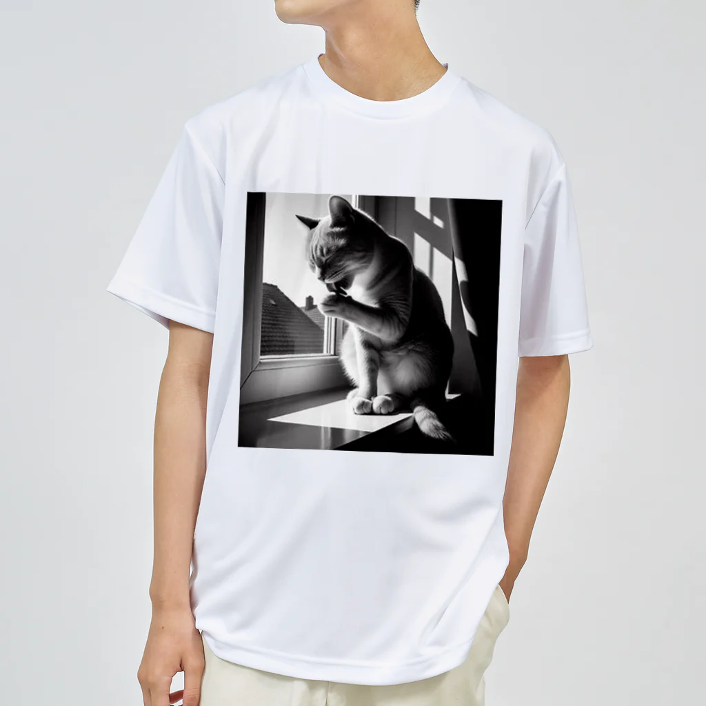 猫は癒やしの毛づくろい猫 Dry T-Shirt