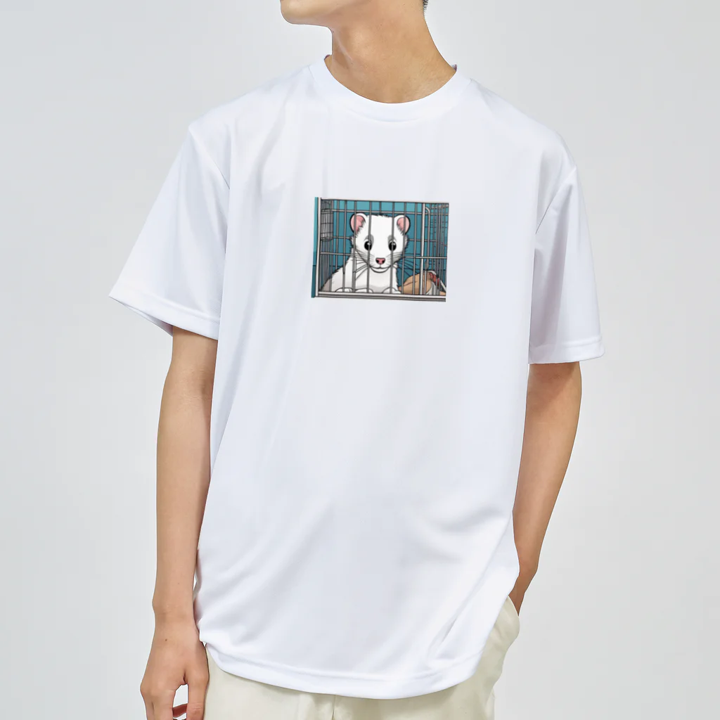 ai-open-202402のフェレット ドライTシャツ