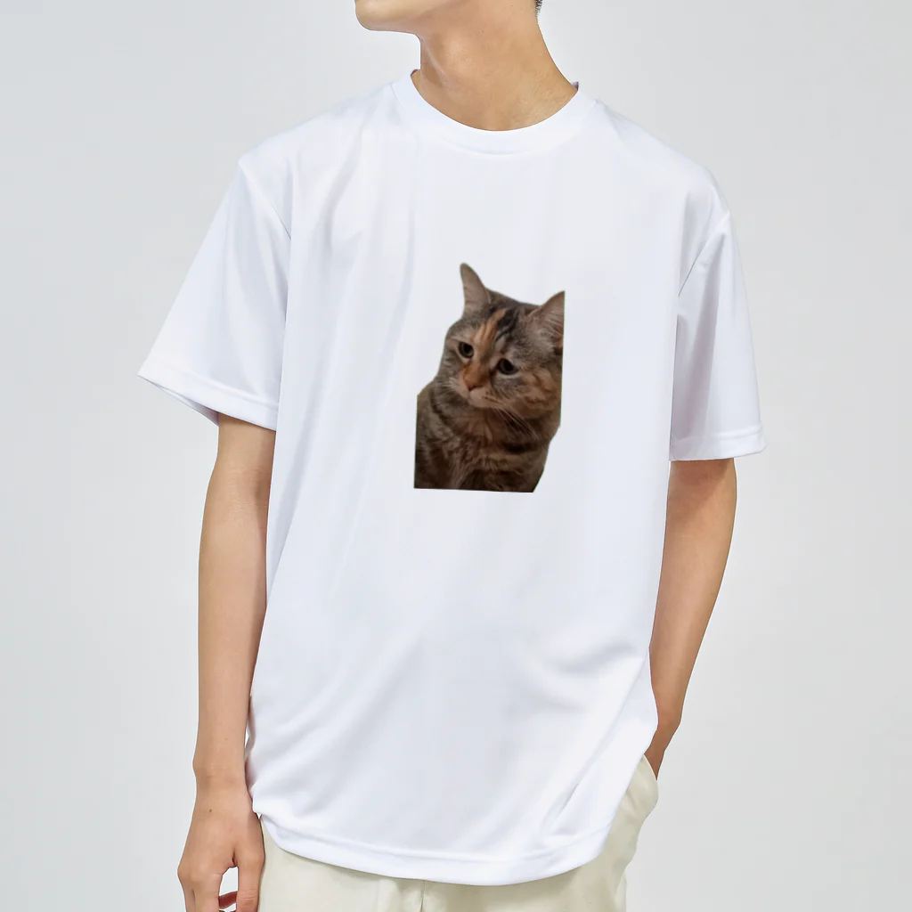 猫ミームグッズの【猫ミーム】叱られる猫 ドライTシャツ