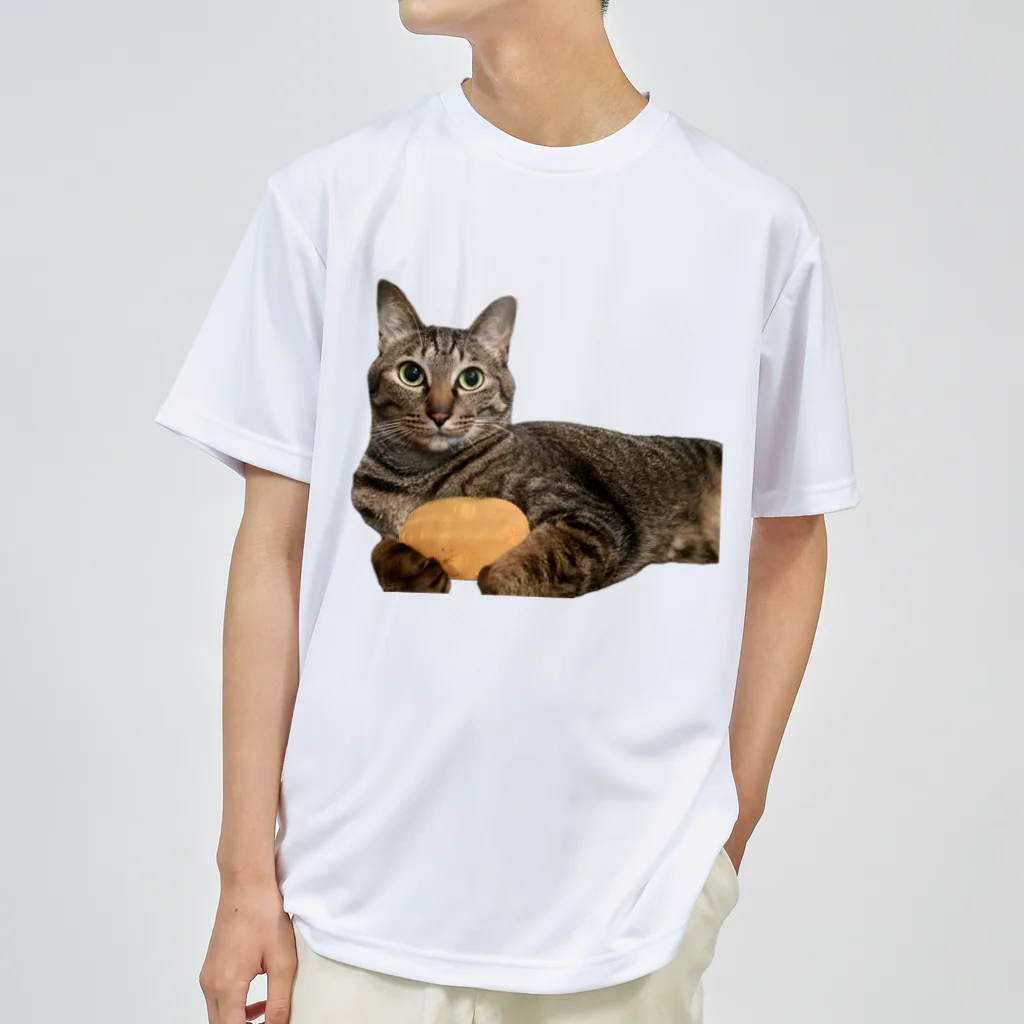 オレはニャン蔵の『猫に小判』オレはニャン蔵 Dry T-Shirt