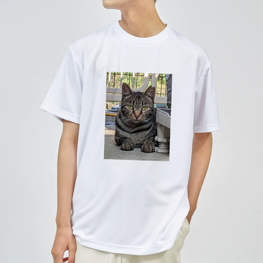 喜多村商店のさくら猫のCHAR(シャア) ドライTシャツ