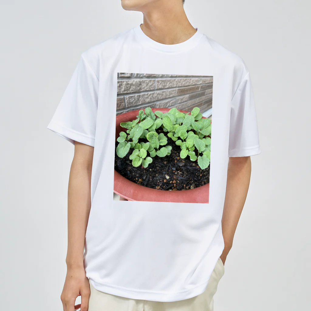 和み屋の新しい始まりを象徴する緑の新芽がプランターから顔を出しました🌱 ドライTシャツ