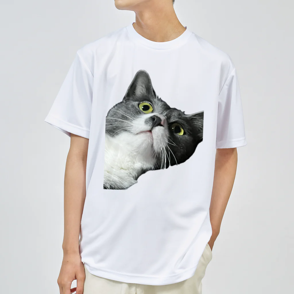 ねこねこねこねこのまままほちゃん ドライTシャツ