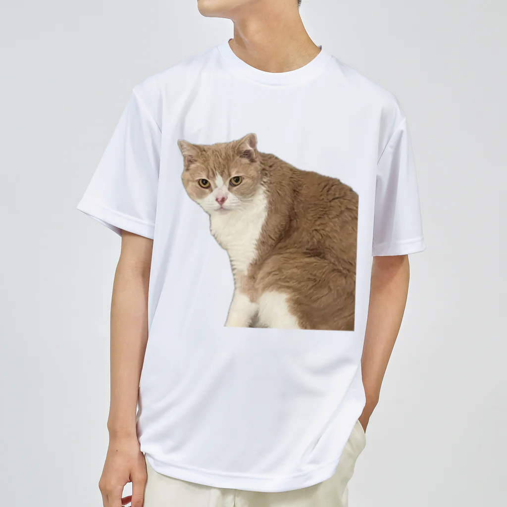 Mashlyのマシロくん猫グッズ ドライTシャツ