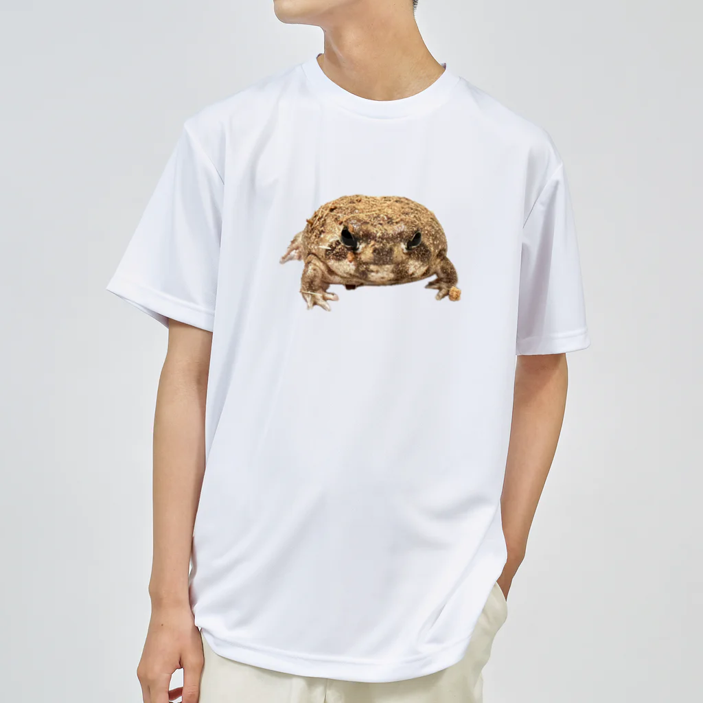 gecomochi0419のアメフクラガエルのげこもちくん Dry T-Shirt