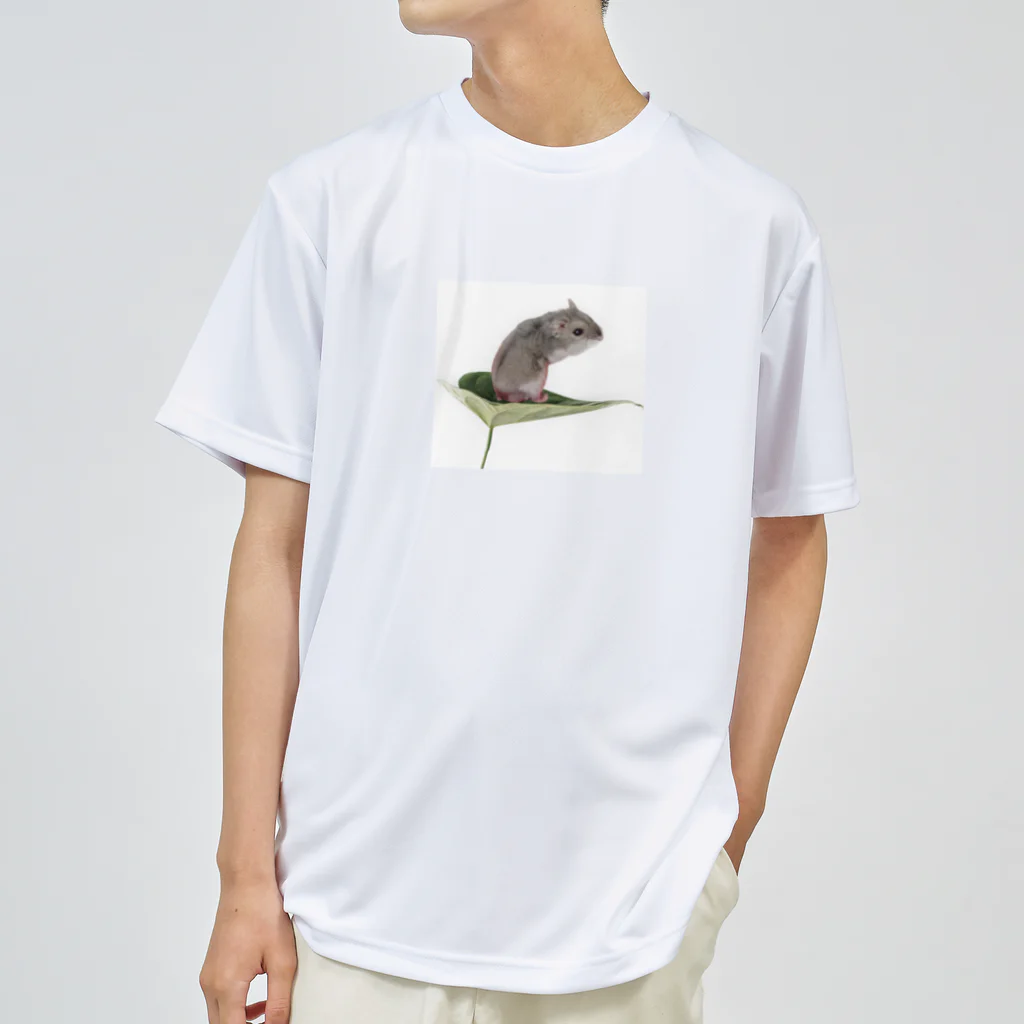 Potet & Luna lifeのPotet_life Dry T-Shirt