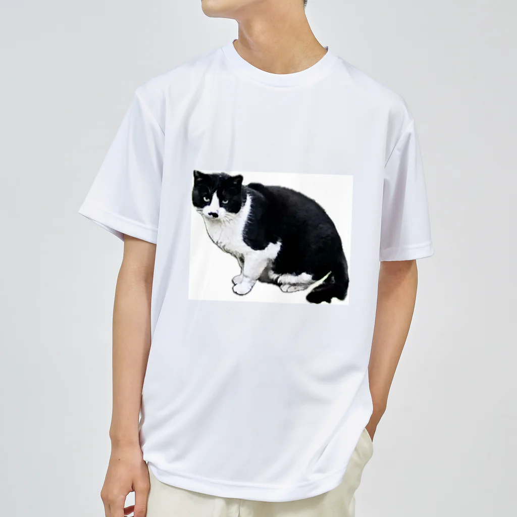 たまたまの近所の野良猫 ドライTシャツ